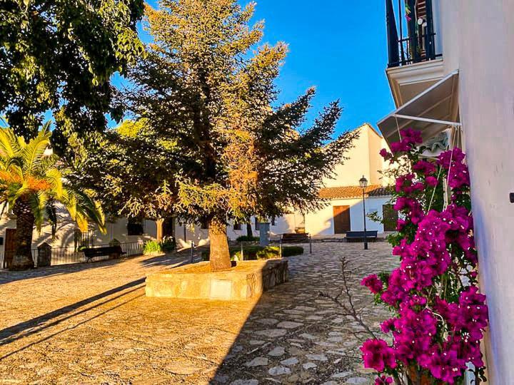 Вилла Grazalema - Casita La Calma - Incredible Views, Clima Frio-Calor, Wifi & Private Parking Optional Экстерьер фото